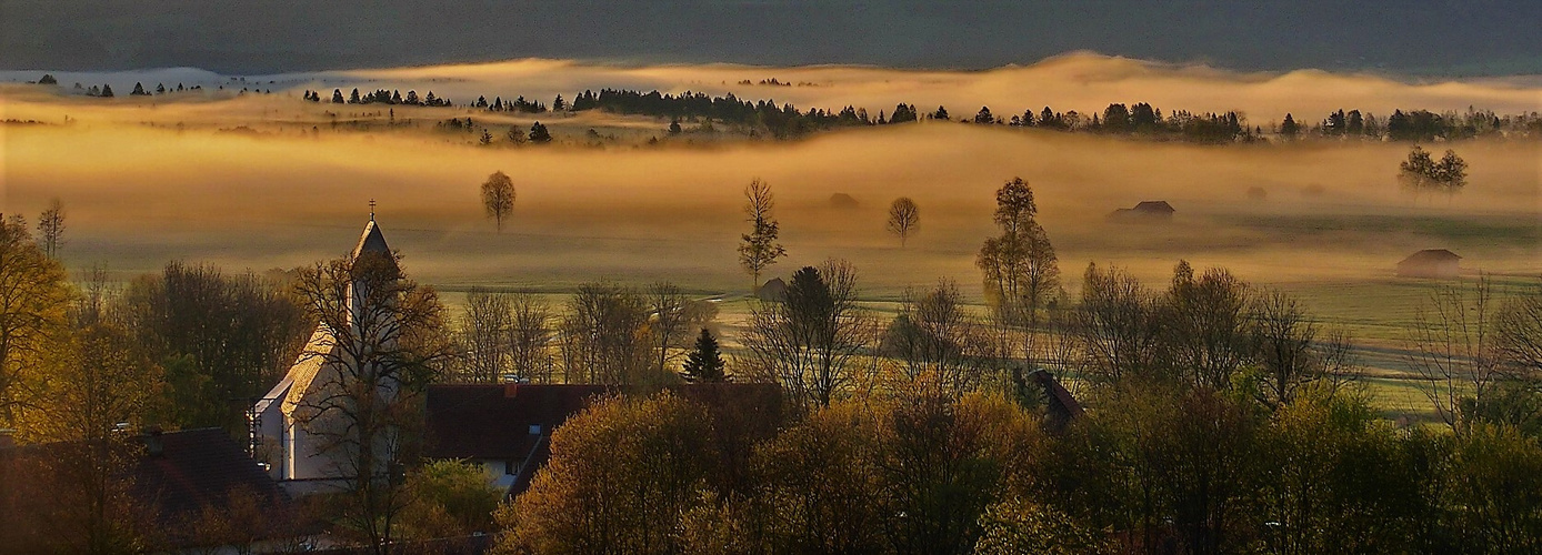 Goldener Nebelschleier