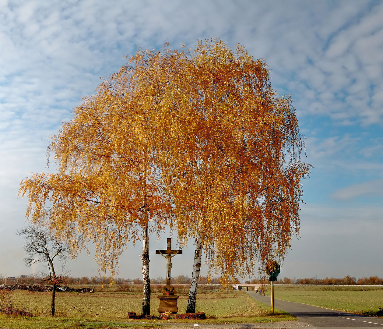 goldener november