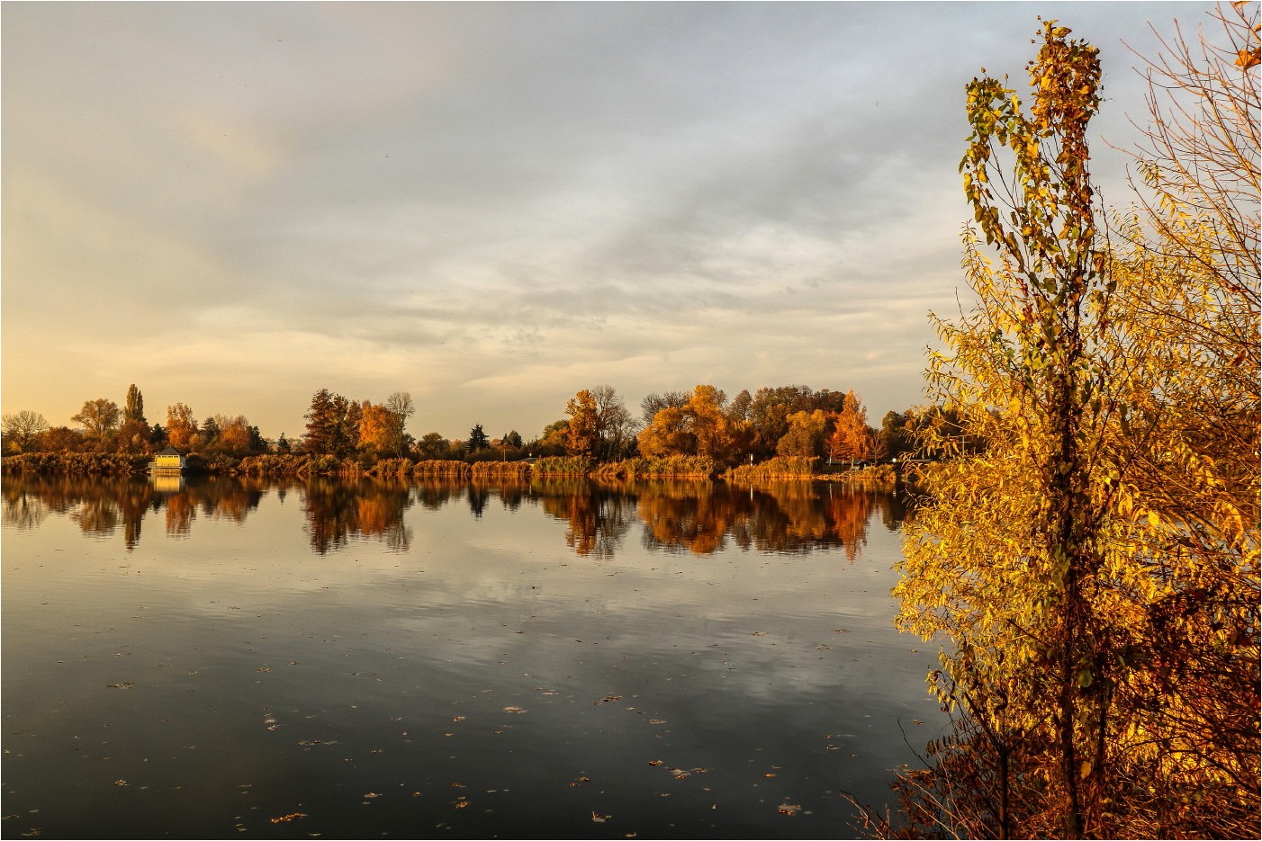 Goldener November 