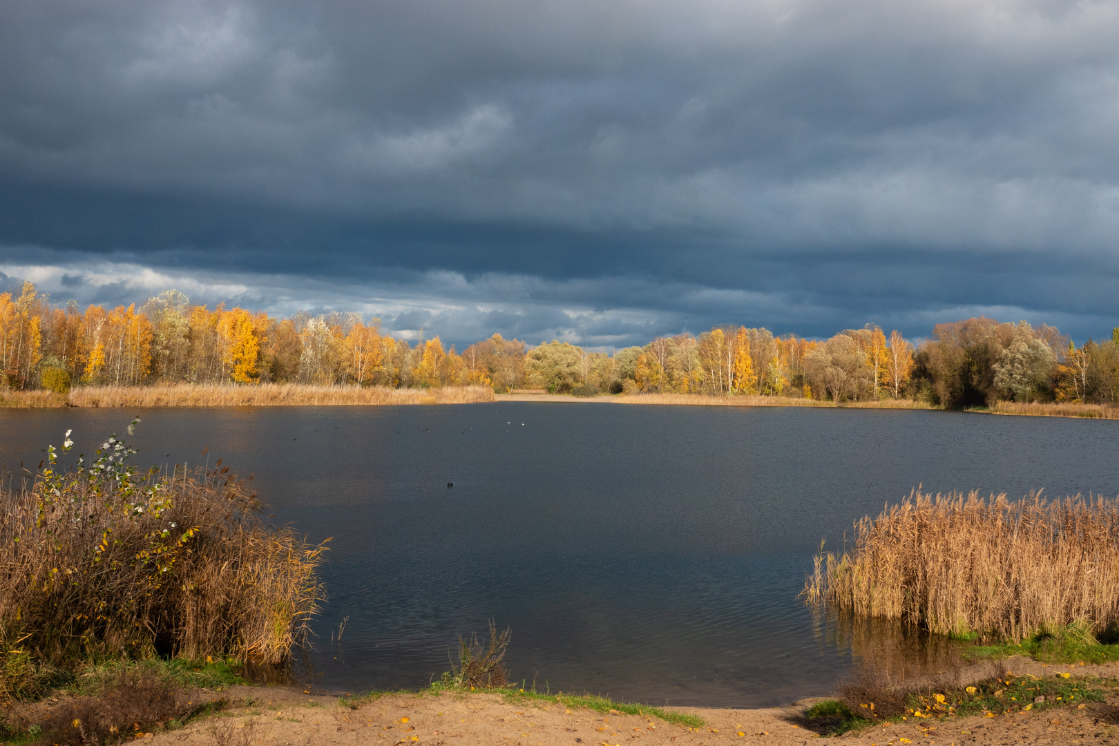 Goldener November