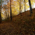 Goldener November (4)