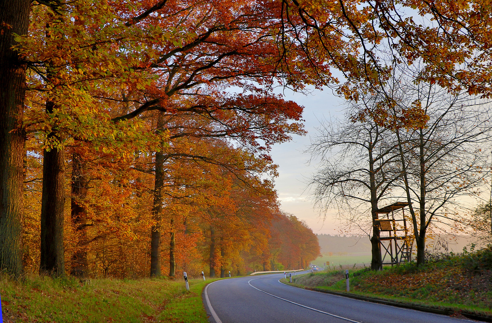 Goldener November