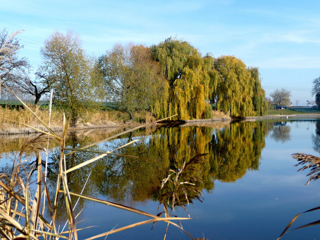 Goldener November