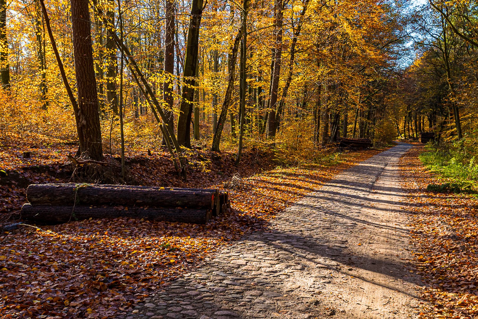 Goldener November