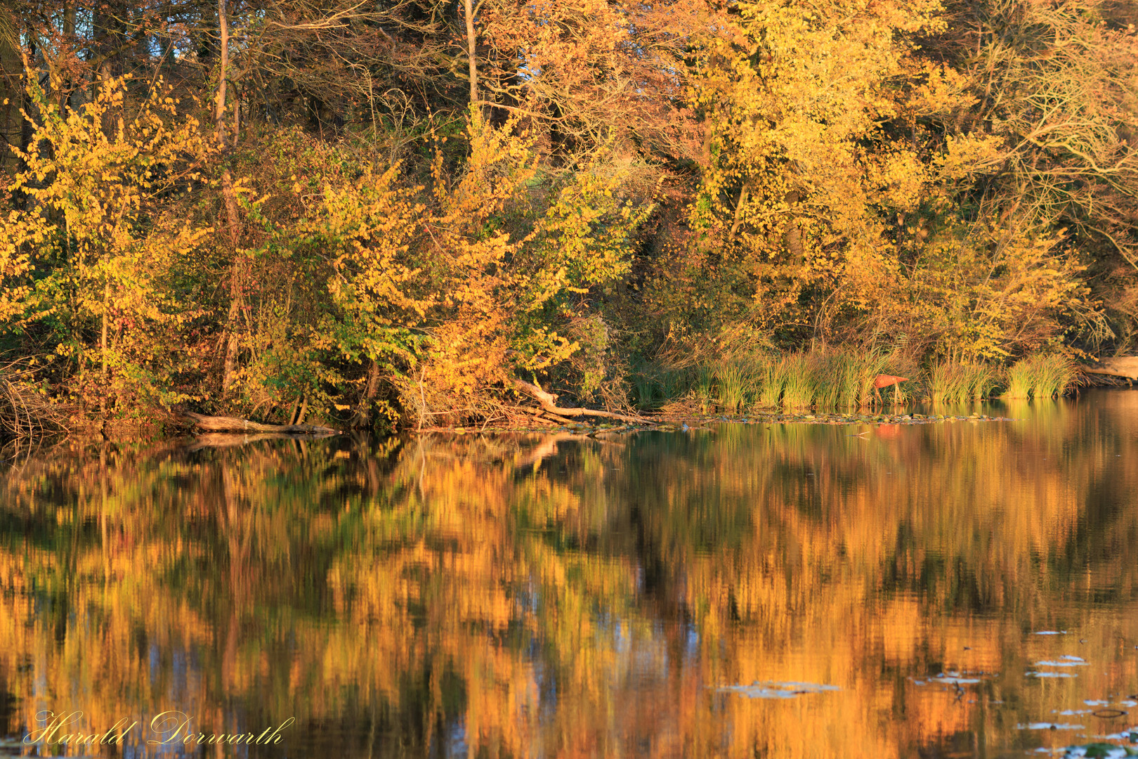 Goldener November 