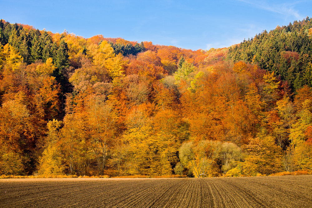 Goldener November