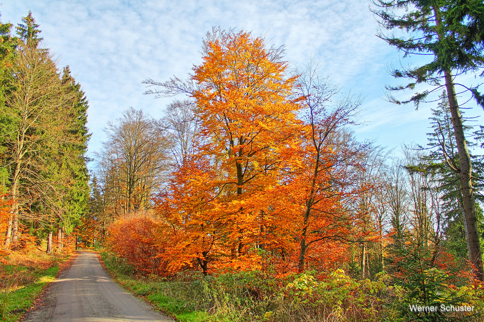 Goldener November