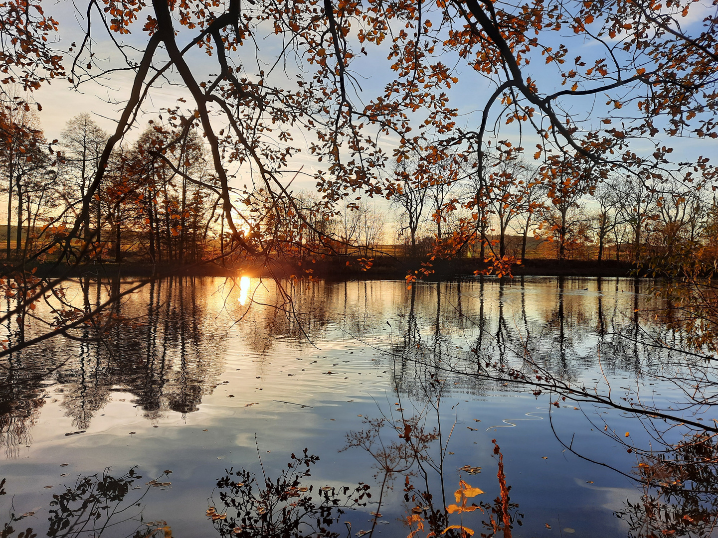 Goldener November am Teich 3.0