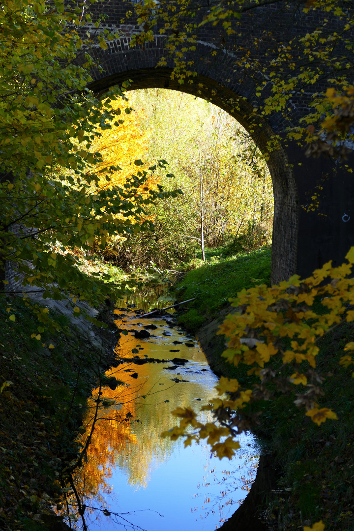 Goldener November