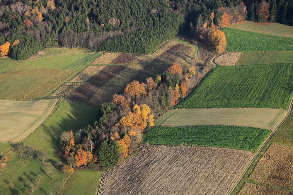 Goldener November - II