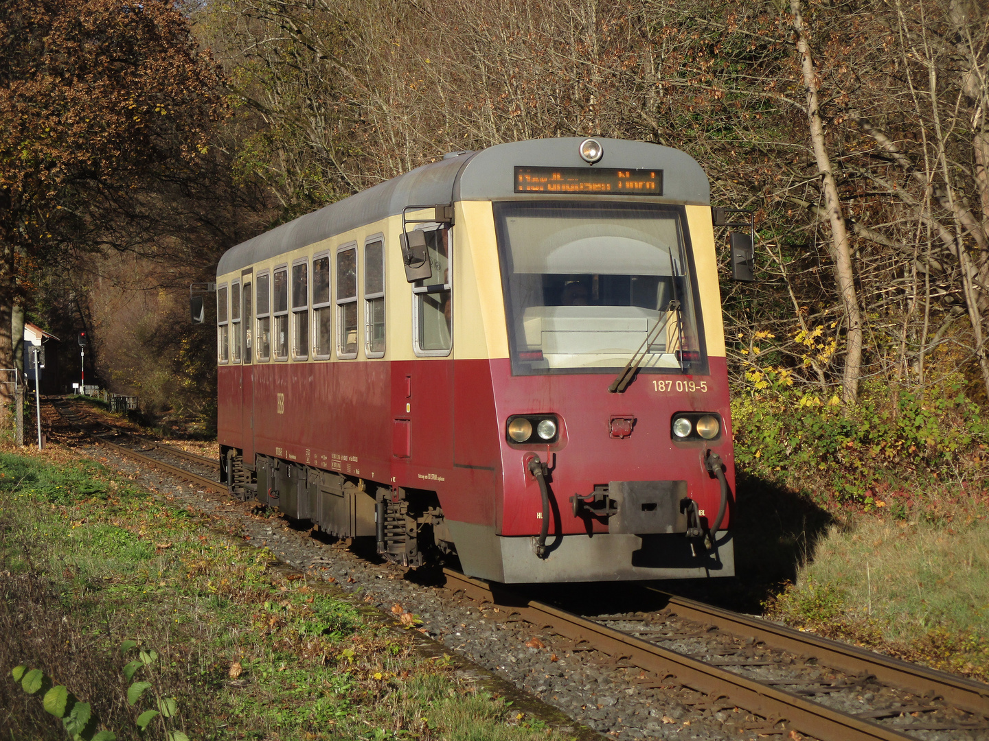 Goldener November in Ilfeld 1.