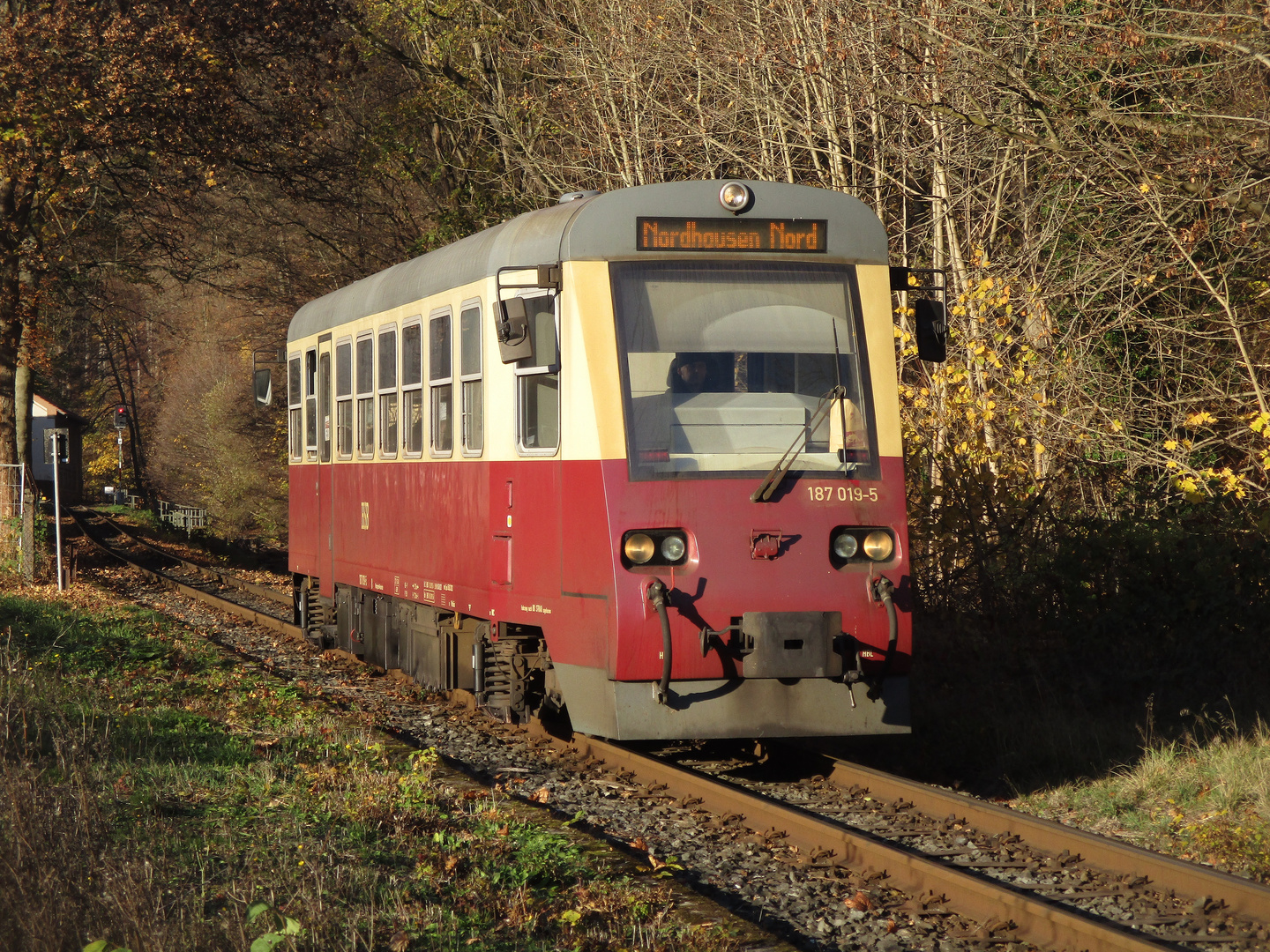 Goldener November in Ilfeld 2.