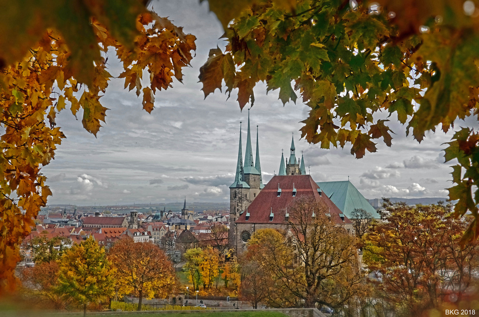 Goldener Novemberblick auf den Domberg Erfurt  