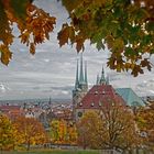 Goldener Novemberblick auf den Domberg Erfurt  