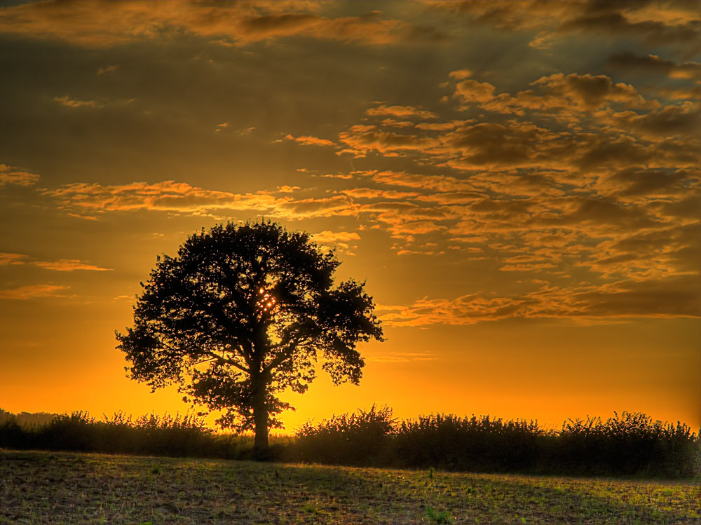 Goldener Oktober