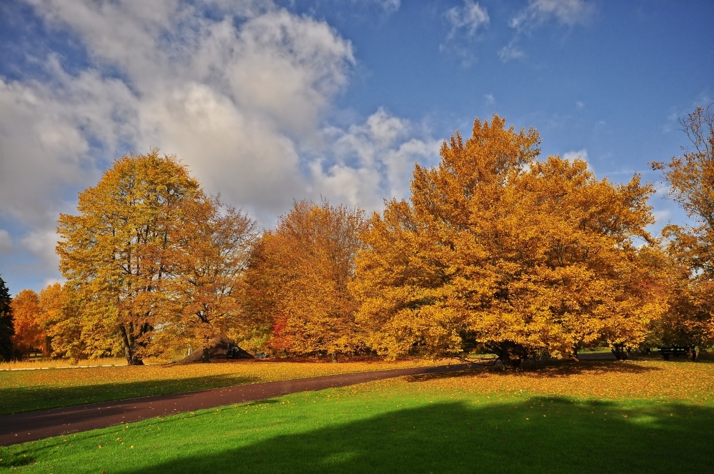 Goldener Oktober.....