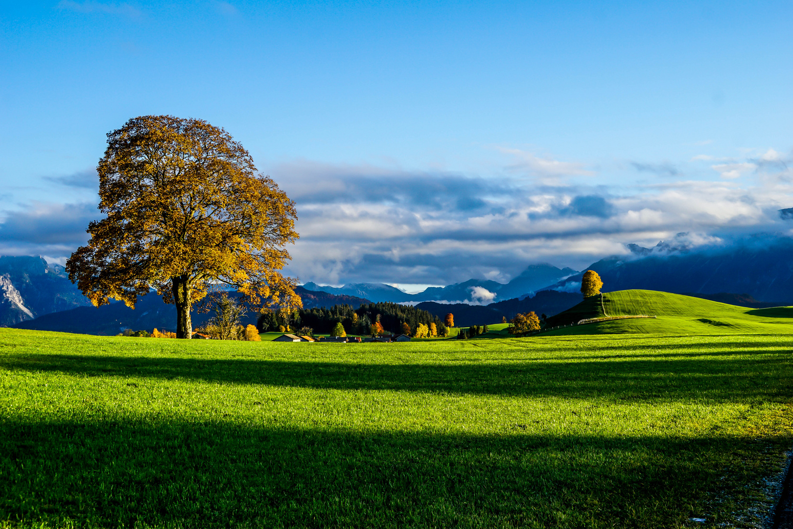 Goldener Oktober ...