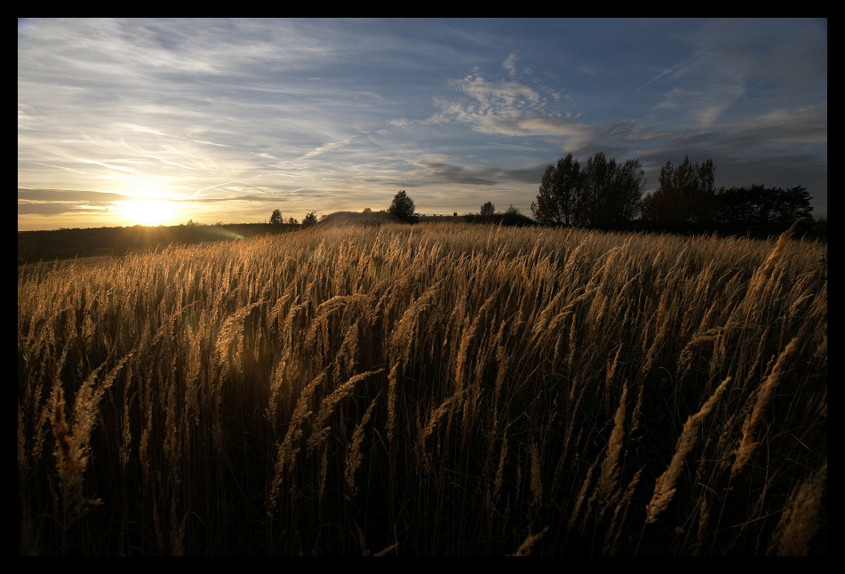 goldener Oktober