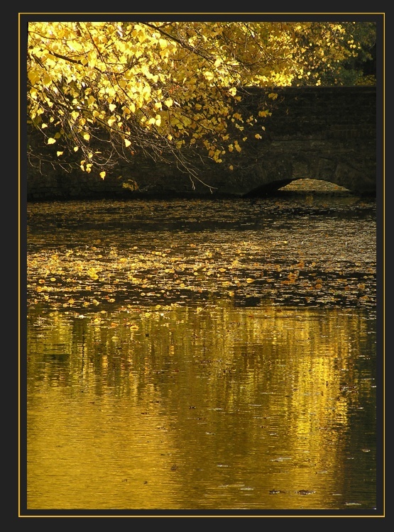 Goldener Oktober