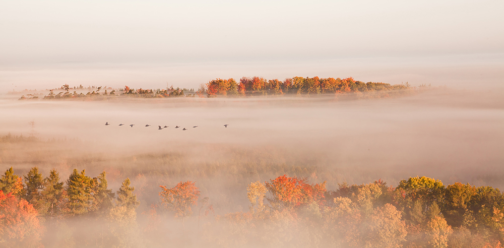 Goldener Oktober