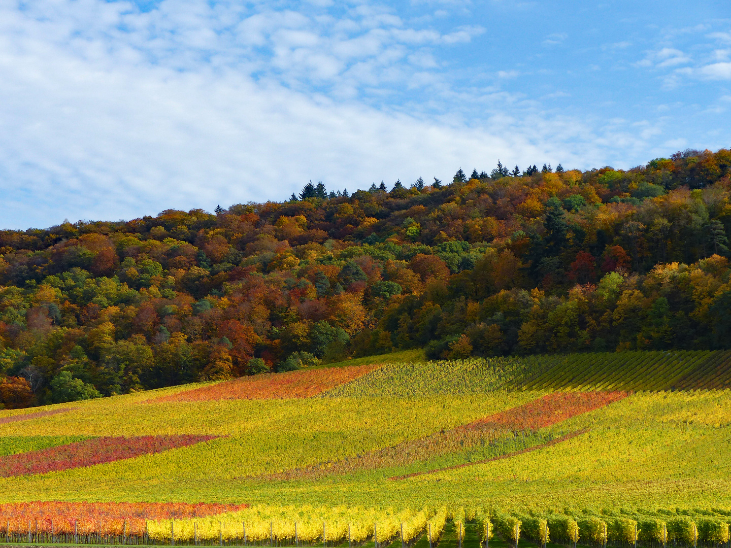 Goldener Oktober