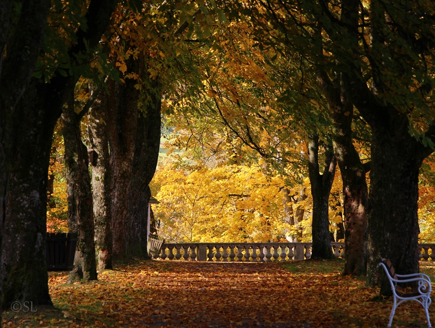 Goldener Oktober