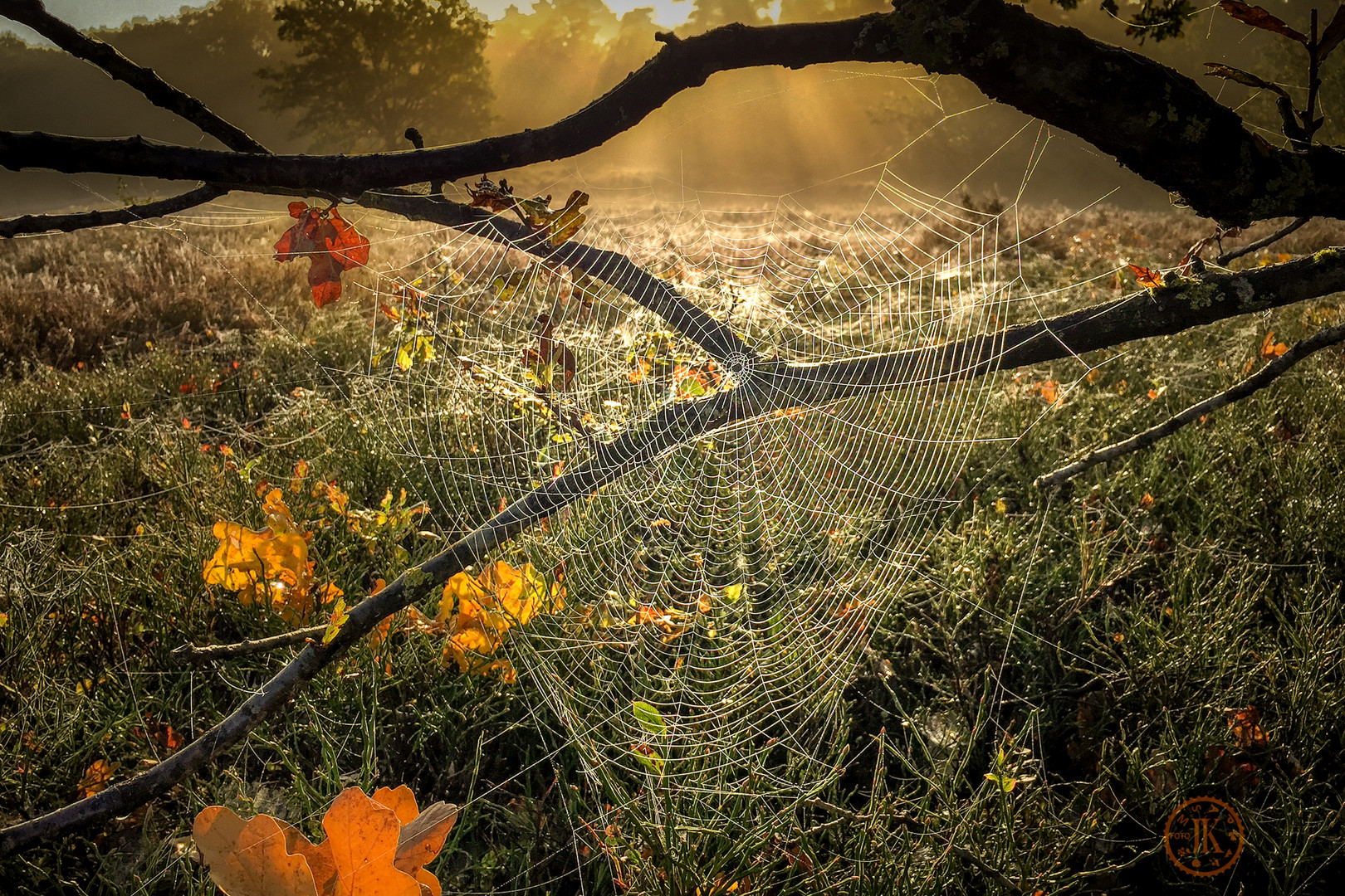 Goldener Oktober