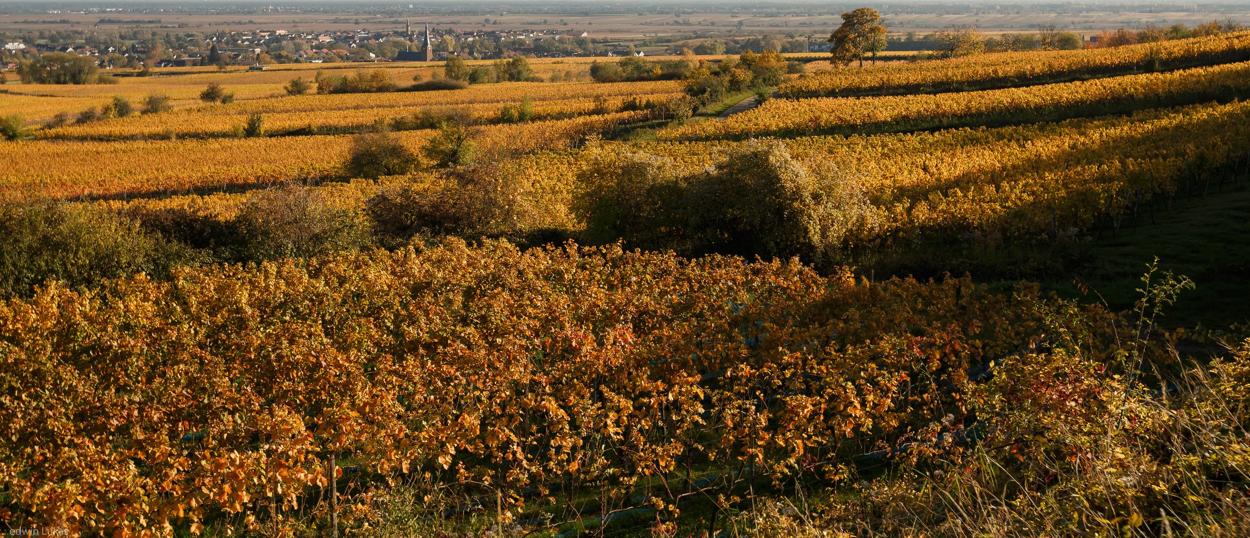 Goldener Oktober