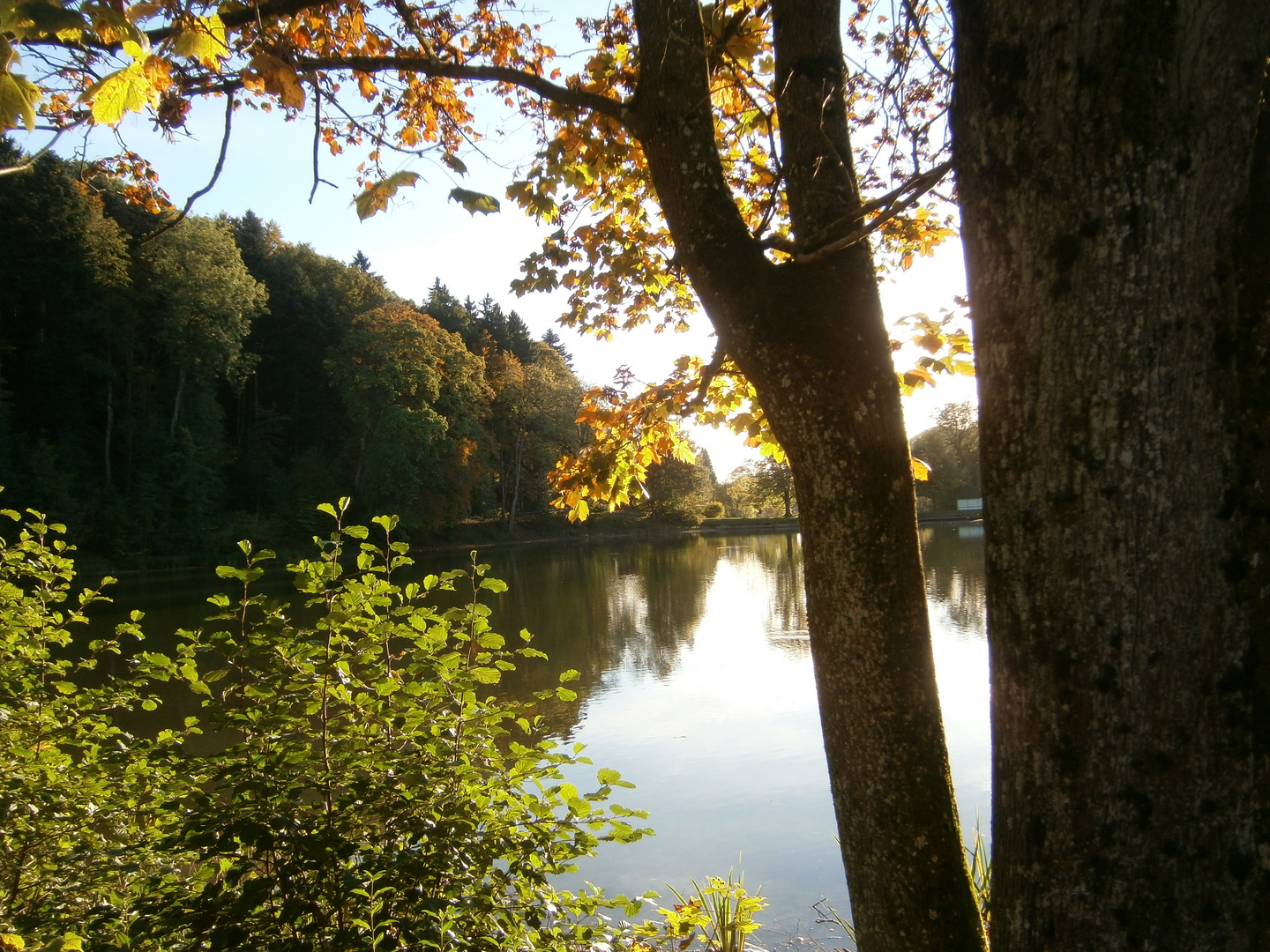 goldener oktober