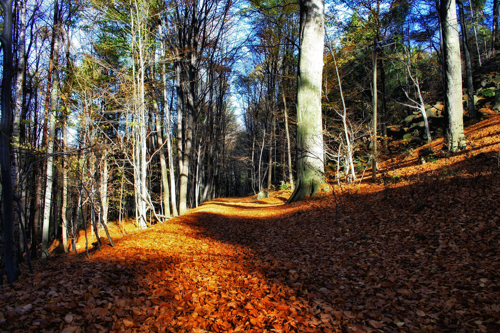 goldener oktober 1