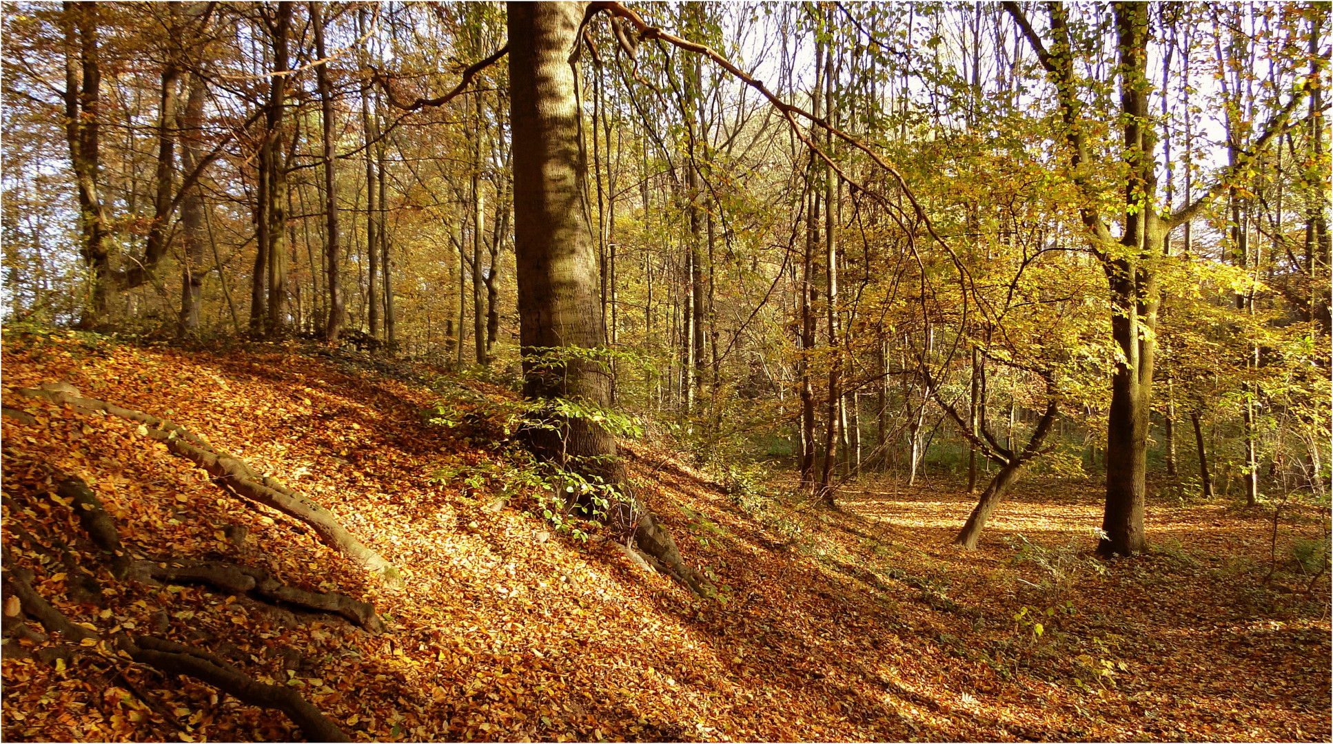 "Goldener Oktober" 1