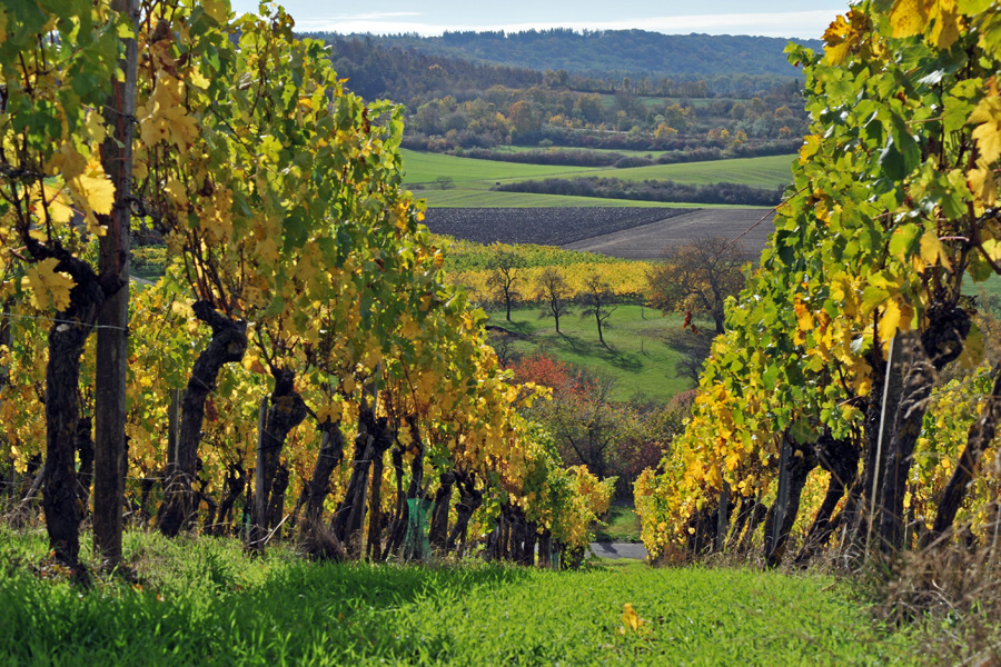 Goldener Oktober