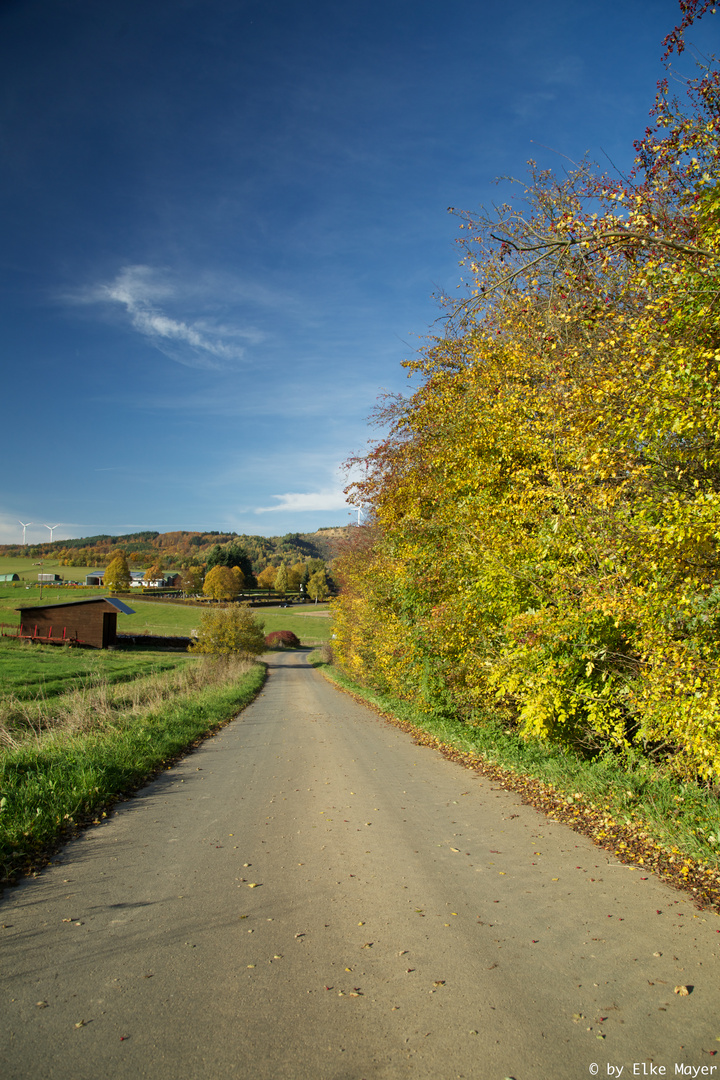 Goldener Oktober