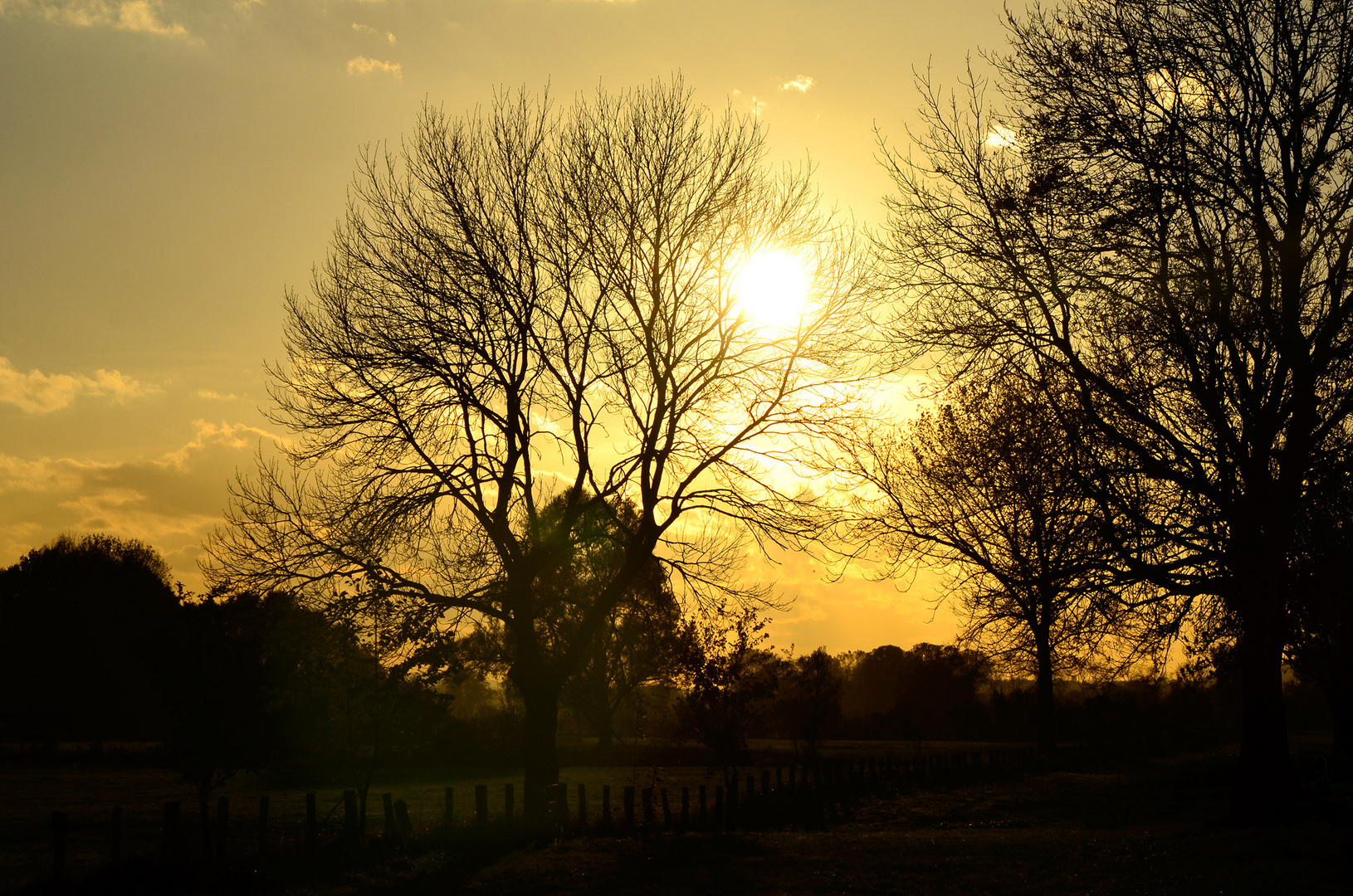 Goldener Oktober