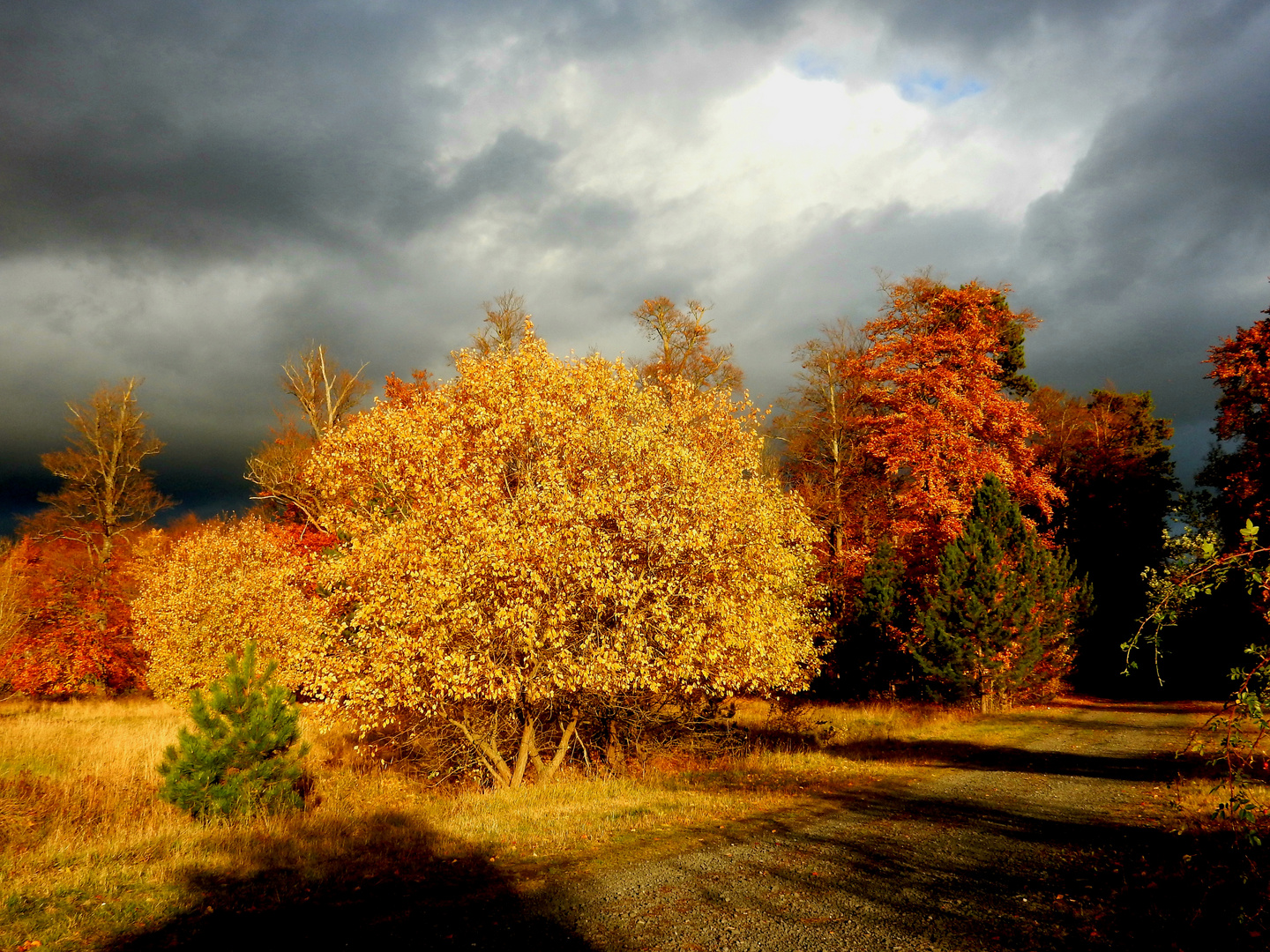 Goldener Oktober 