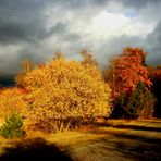 Goldener Oktober 