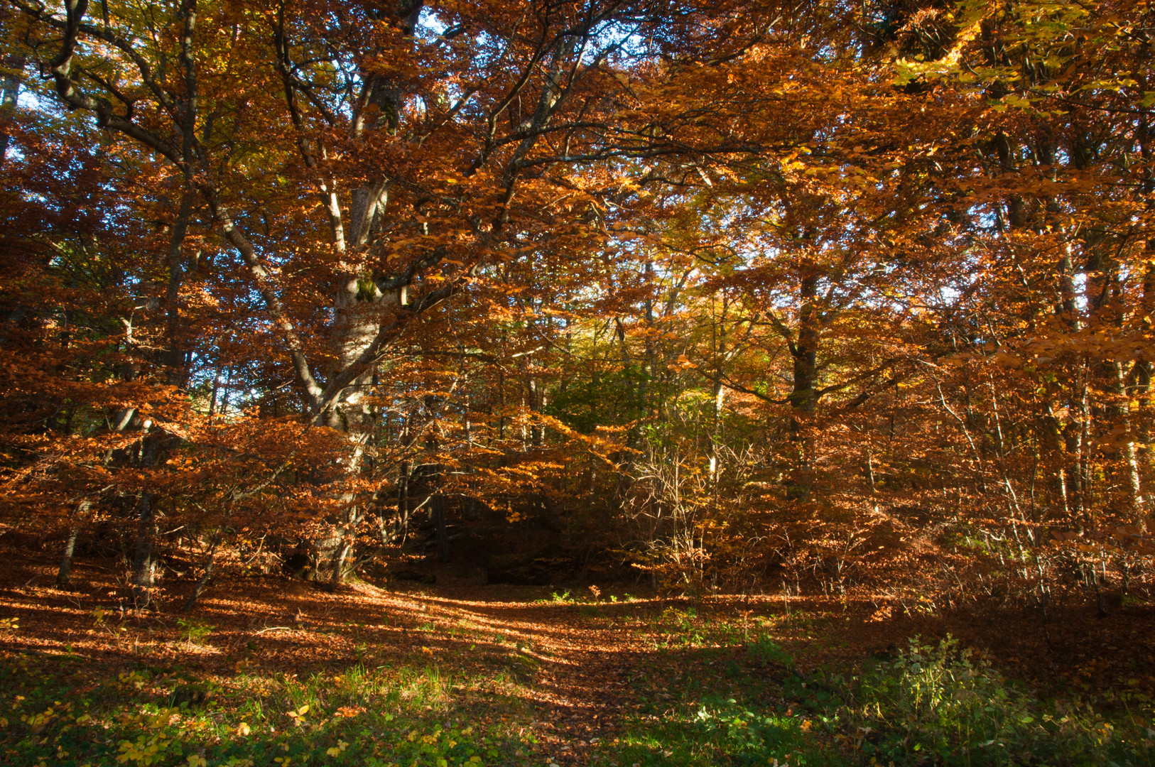 Goldener Oktober