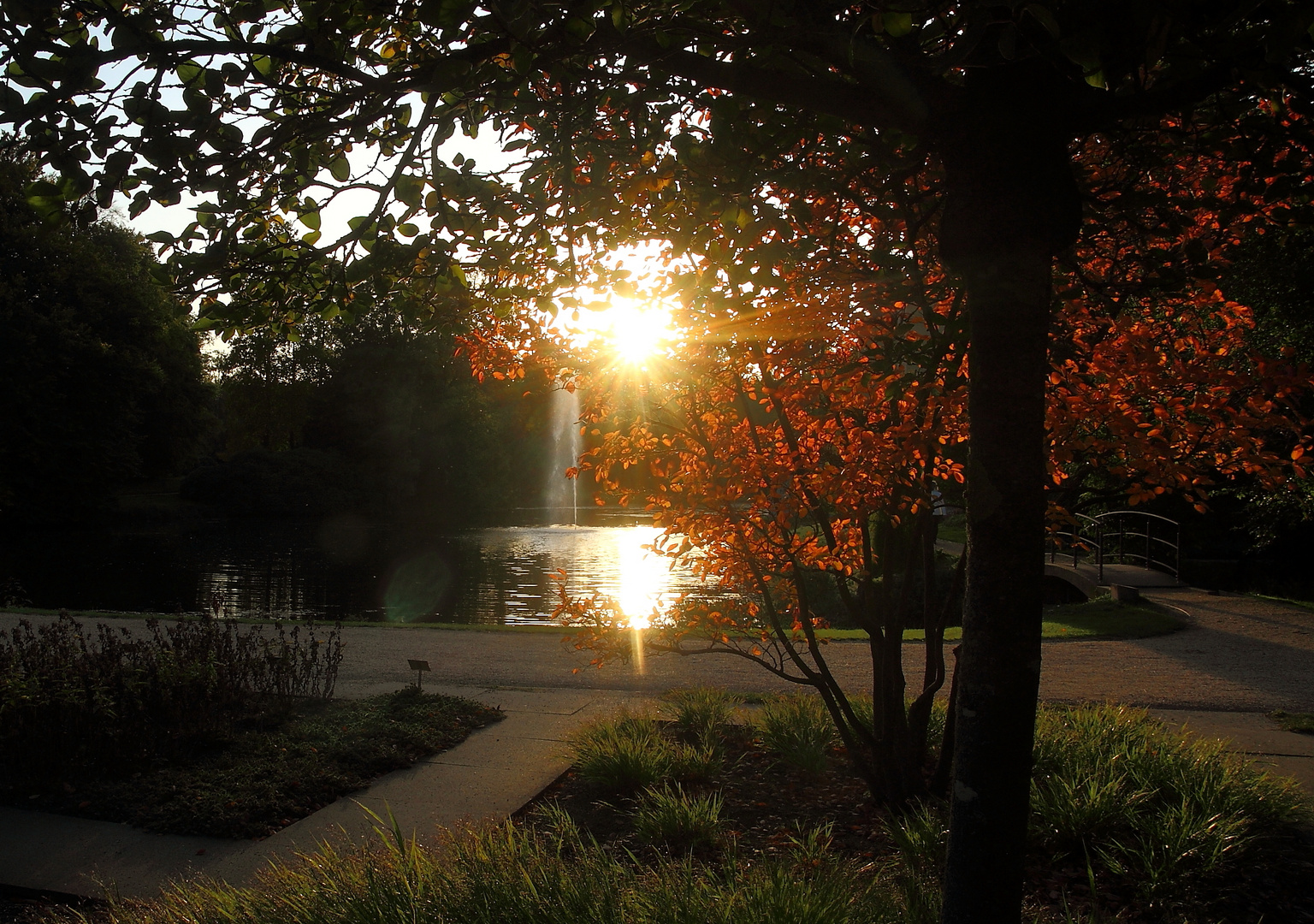 Goldener Oktober......