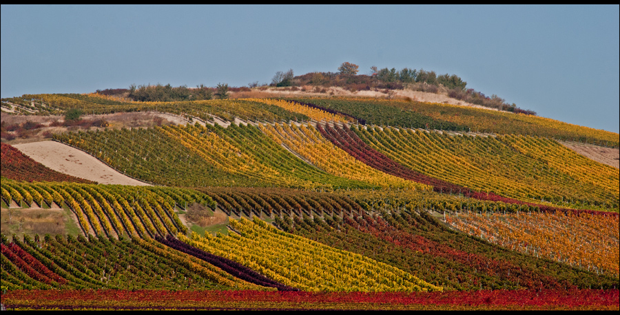 Goldener Oktober