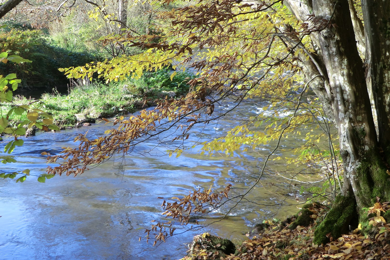 Goldener Oktober