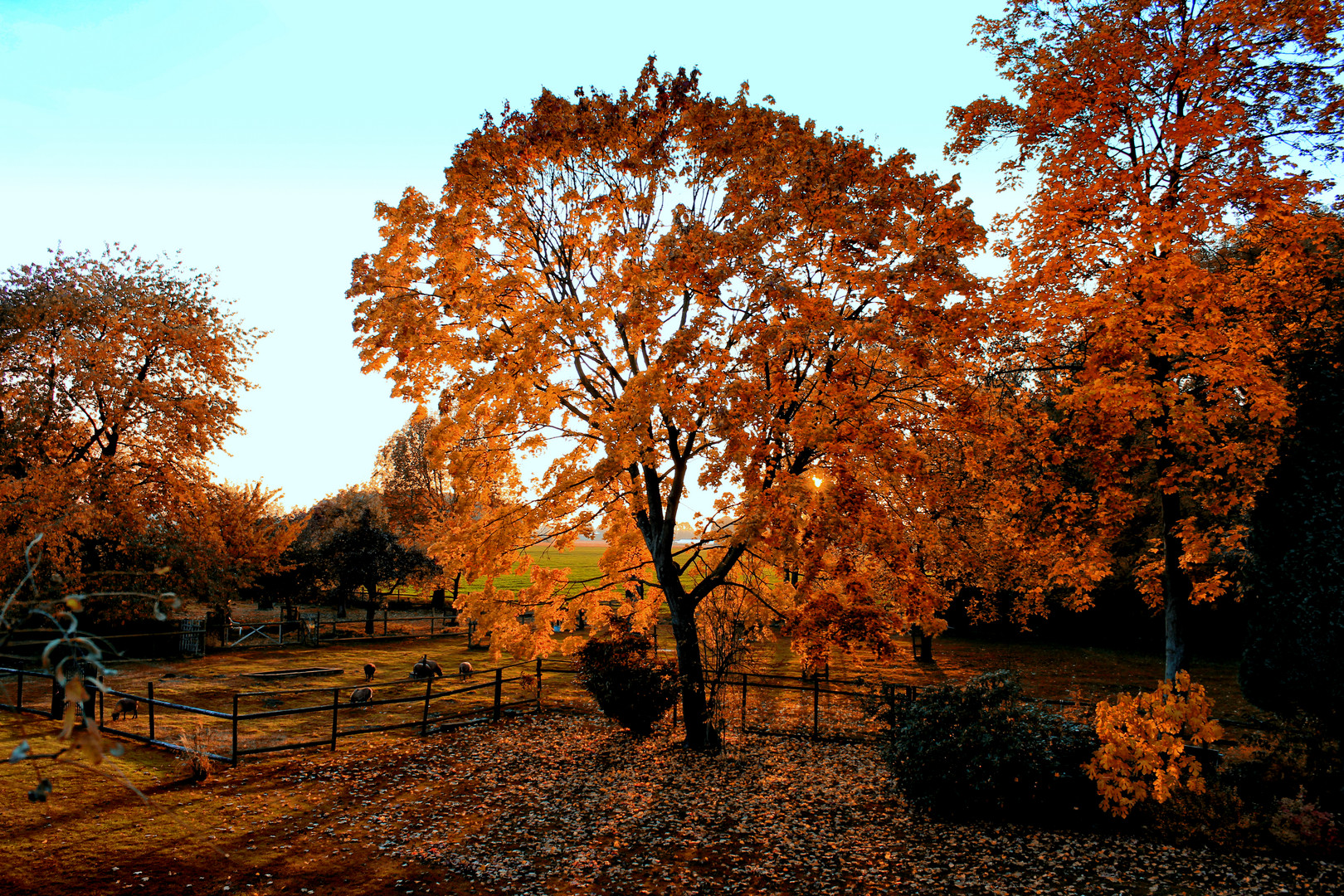 Goldener Oktober