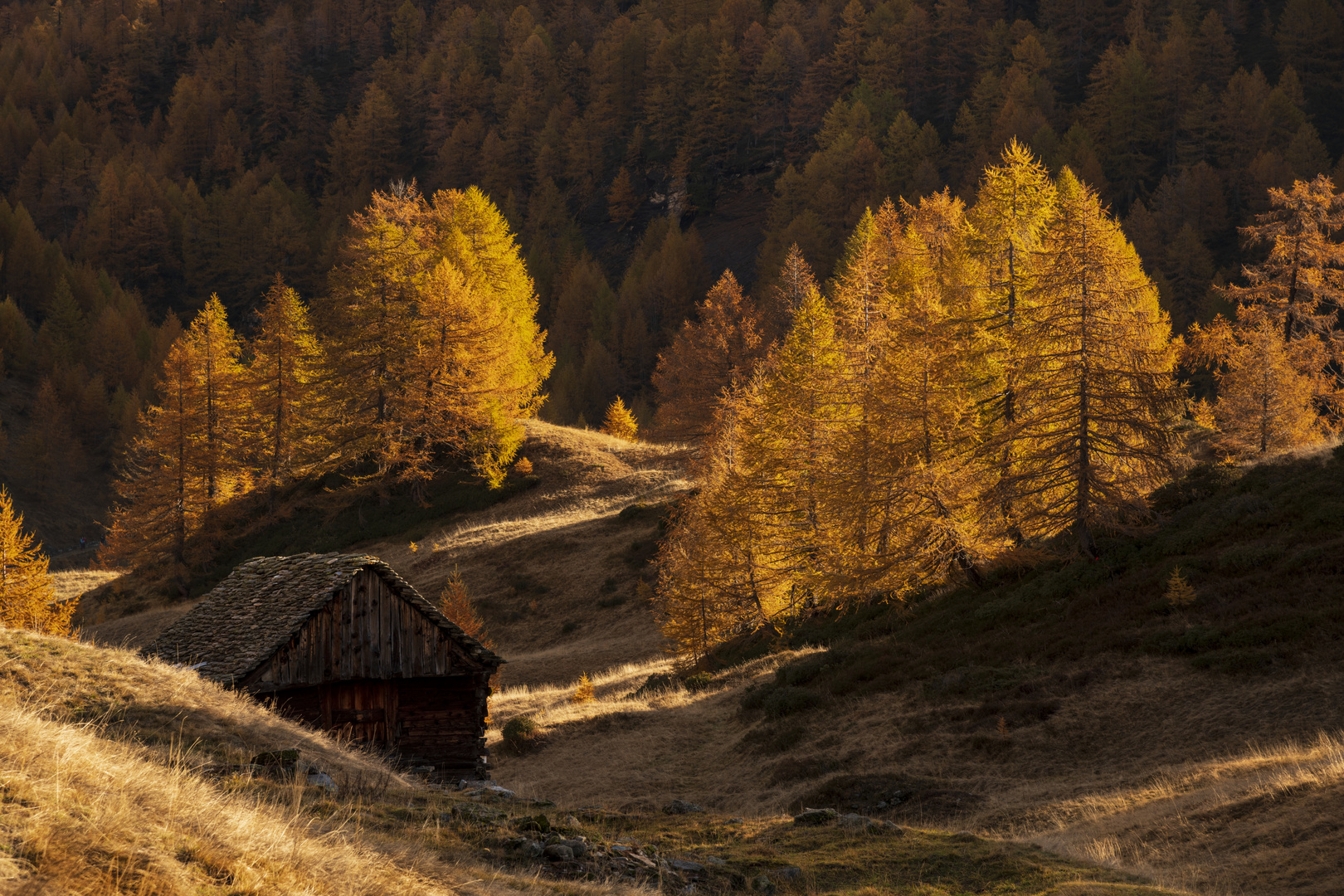 Goldener Oktober