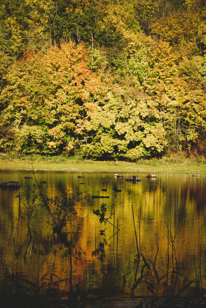 Goldener Oktober 