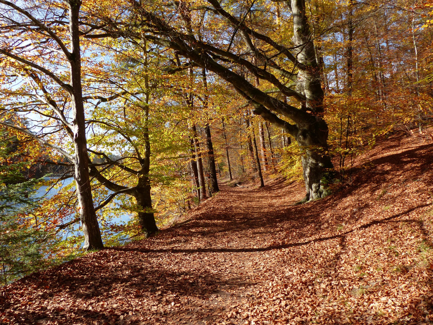 Goldener Oktober 