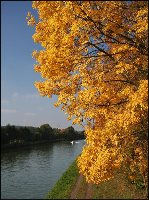 Goldener Oktober