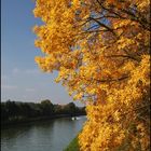 Goldener Oktober