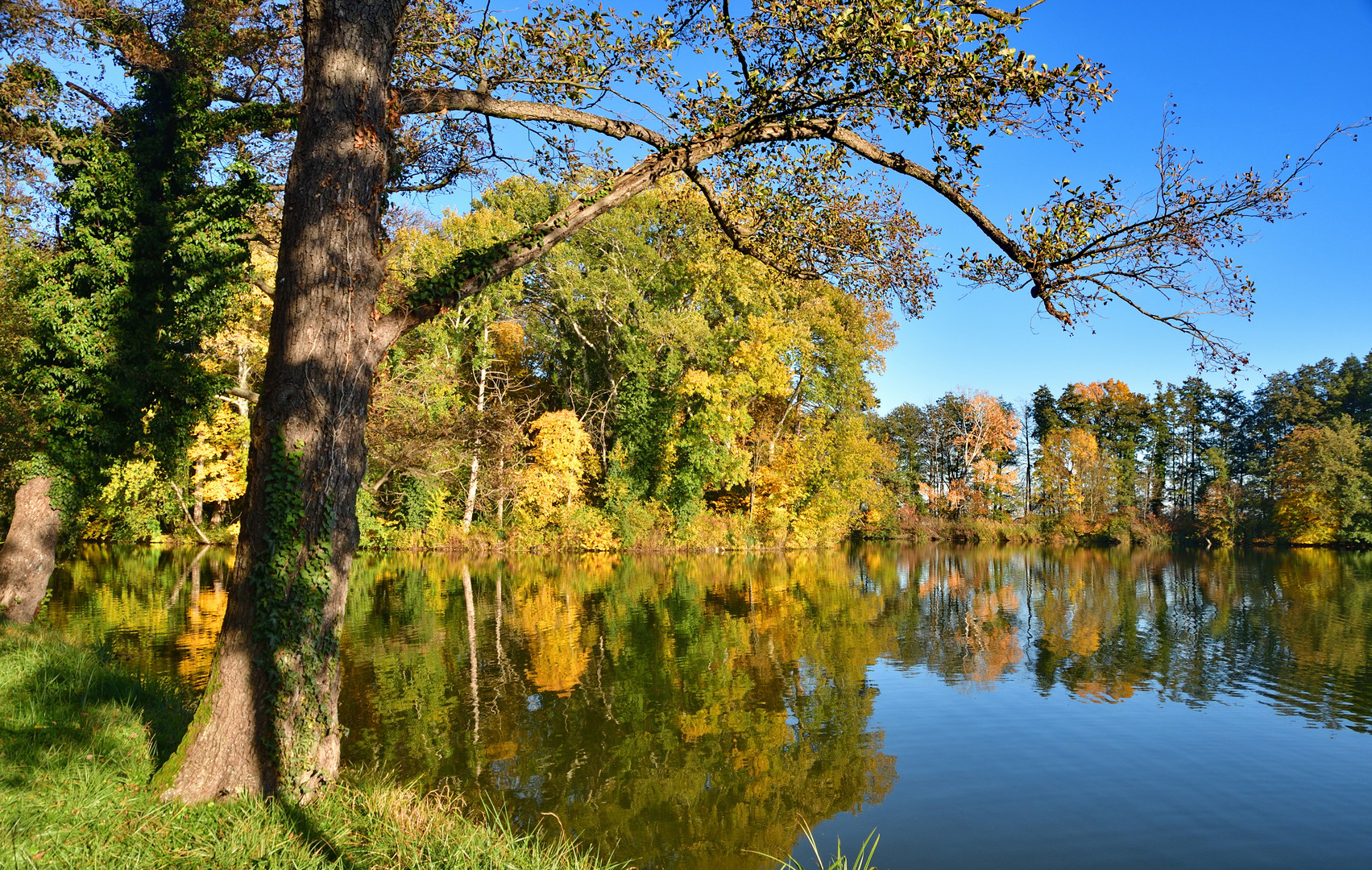 Goldener Oktober 2