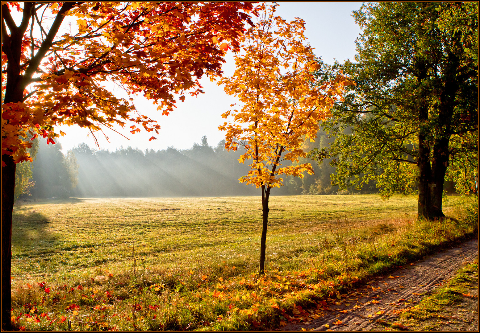  natur, herbst, jahreszeiten Bilder 