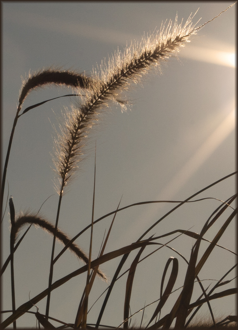 Goldener Oktober 2