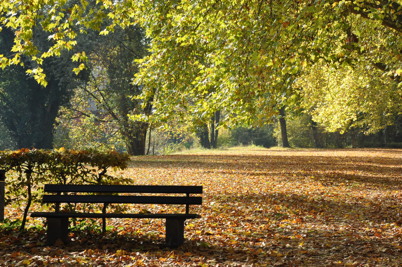 Goldener Oktober 2011